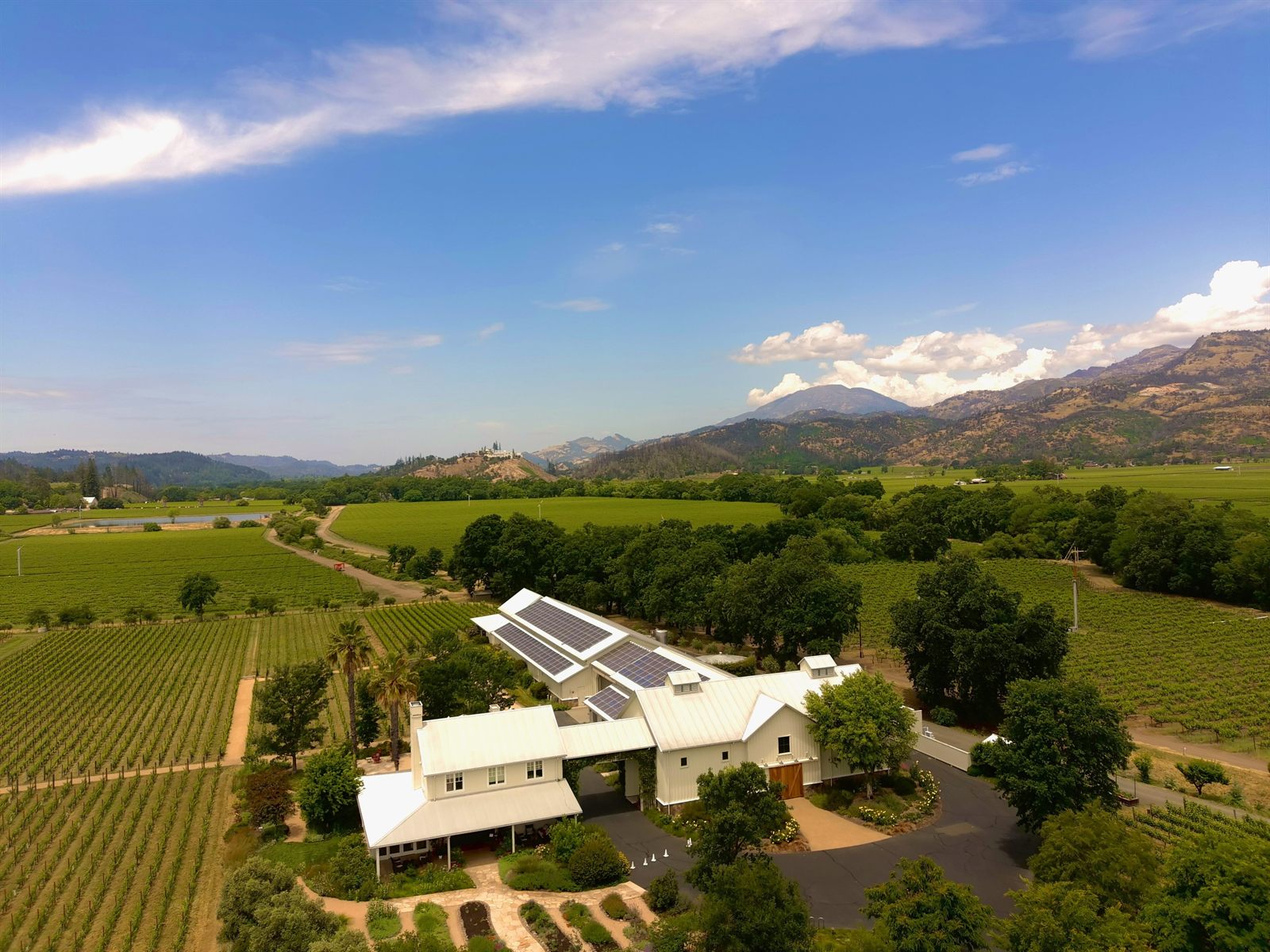 Aerial view of a vineyard estate with solar-roofed buildings among the vines