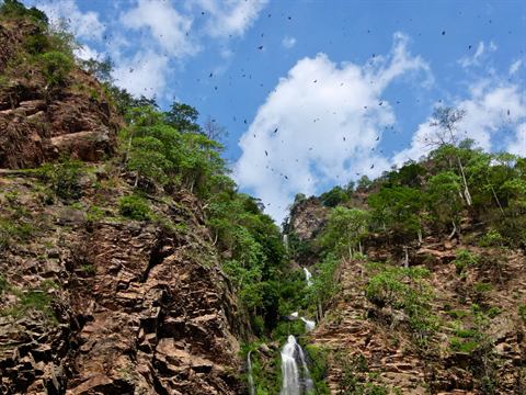 Waterfall tumbling through a rugged green canyon with birds circling overhead