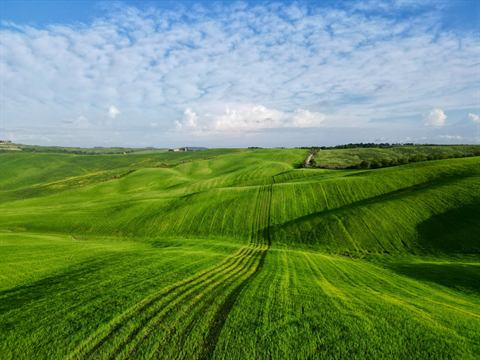 Vivid green farm fields rolling to the horizon under scattered clouds