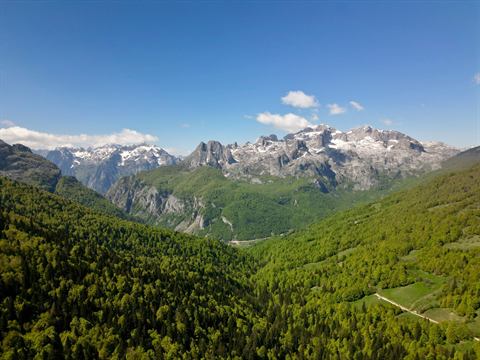 Forested alpine valley climbing toward bare granite peaks