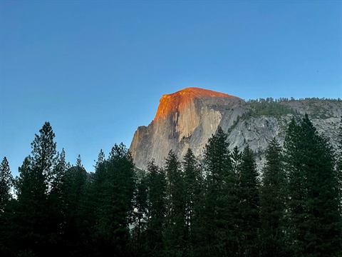 Half Dome catching the last warm light of sunset above dark pines